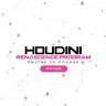 The VFX School - Houdini Renascence Program - Vol 02
