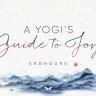 Mindvalley - A Yogi’s Guide to Joy